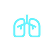 Appareil à ultrasons portable portable application poumon
